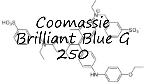 coomassie blue pronunciation.